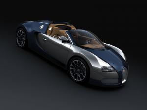 Bugatti Veyron 16.4 Grand Sport Sang Bleu 2009 года